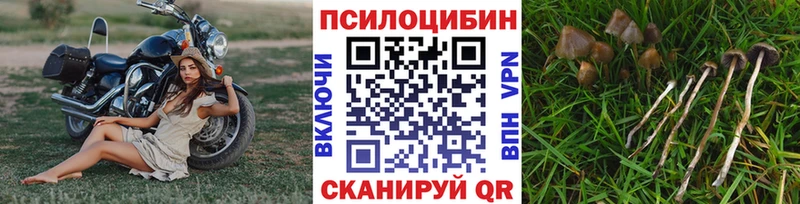 продажа наркотиков  нарко площадка наркотические препараты  Псилоцибиновые грибы прущие грибы  Азнакаево 